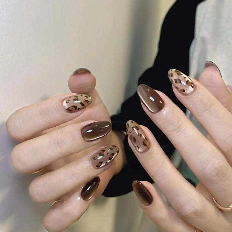 589343090_1169061632090648_4167360470009160568_n